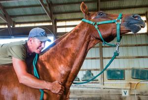 Darren Woller Horsemanship Vinnie